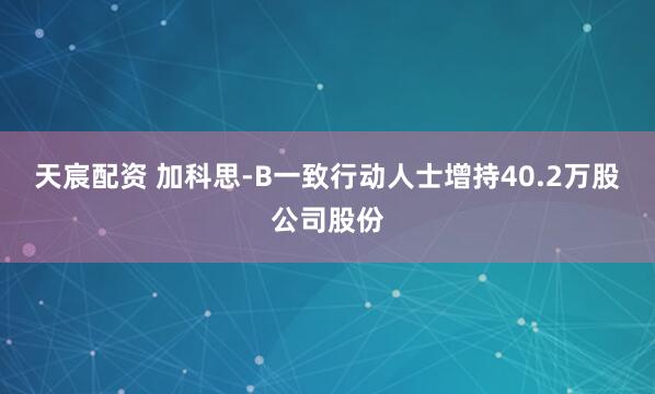 天宸配资 加科思-B一致行动人士增持40.2万股公司股份